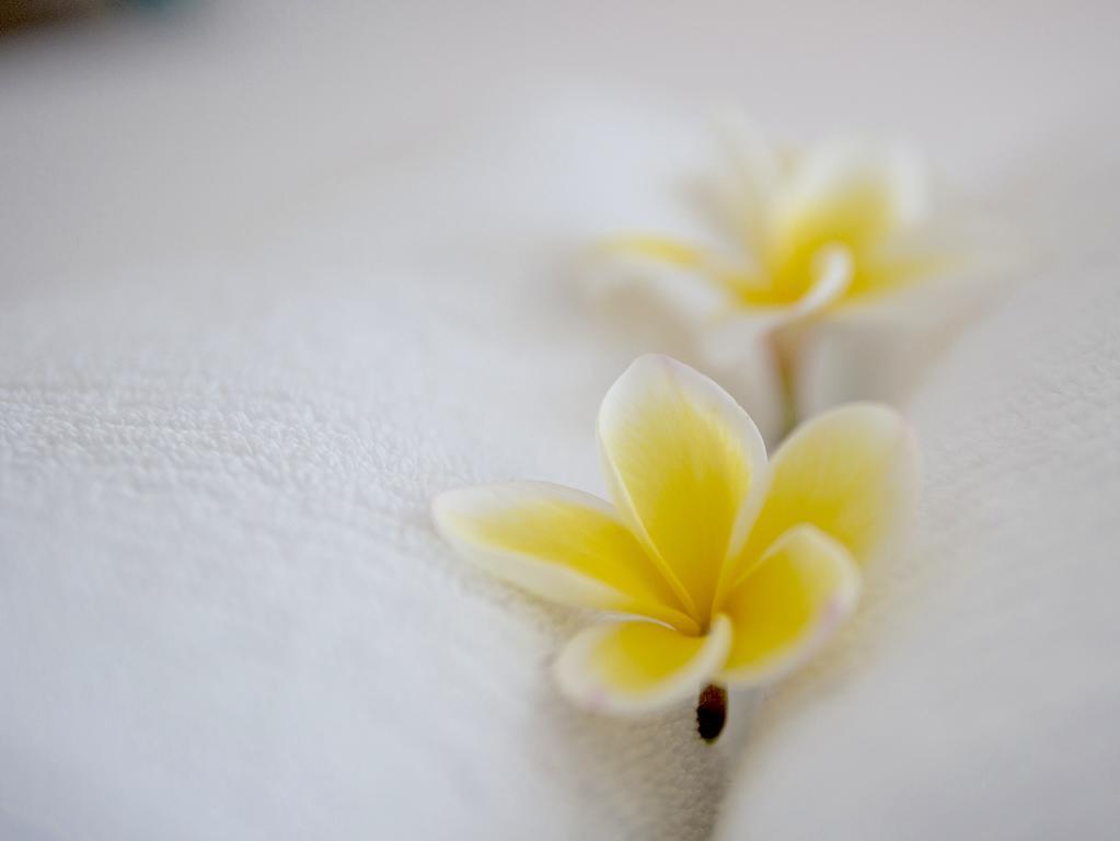 Cossies By The Sea Aparthotel Teluk Byron Bagian luar foto